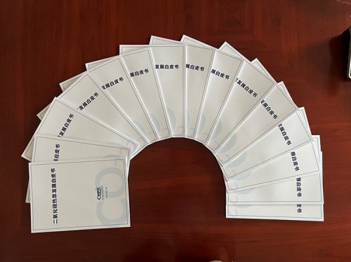 重磅！《二氧化碳熱泵發(fā)展白皮書(shū)》正式印發(fā)